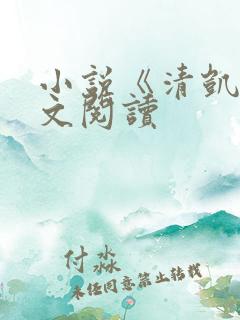 小说《清凯》全文阅读