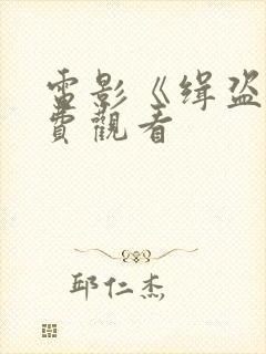 电影《缉盗》免费观看