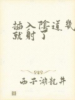 插入阴道几分钟就射了