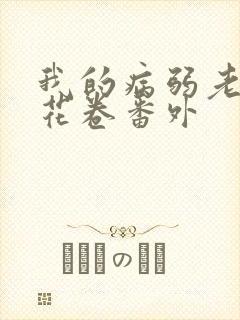 我的病弱老婆 花卷番外