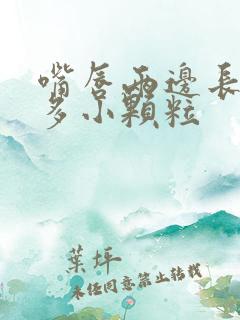 嘴唇两边长了很多小颗粒