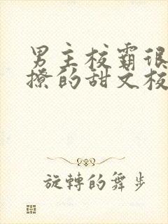 男主校霸很痞很撩的甜文校园