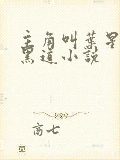 主角叫叶星辰的黑道小说