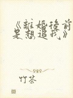 《离婚后前夫总是想追我》