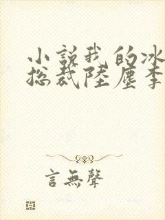 小说我的冰山女总裁陆尘李清瑶