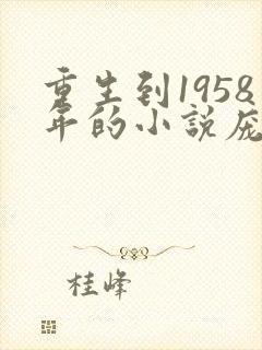 重生到1958年的小说庞北