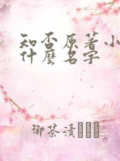 知否原著小说叫什么名字