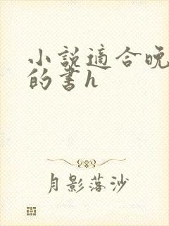 小说适合晚上看的书h