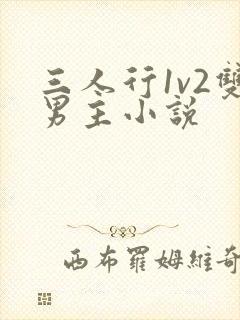 三人行1v2双男主小说