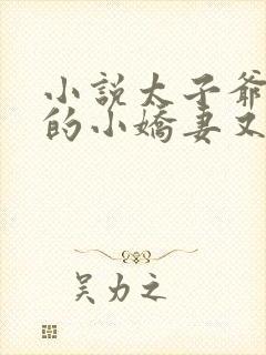 小说太子爷您家的小娇妻又又又哭了梁晚意