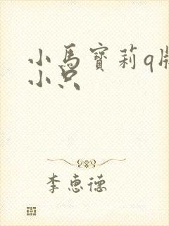 小马宝莉q版6小只