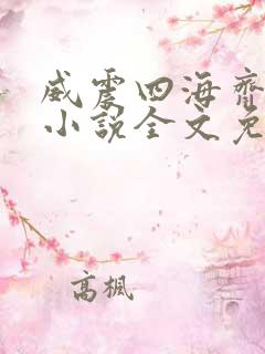 威震四海齐等闲小说全文免费阅读