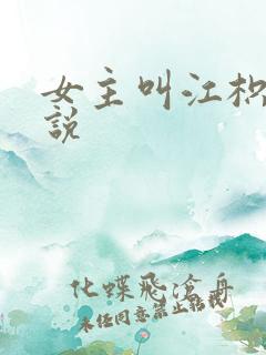 女主叫江枳的小说