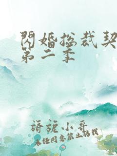 闪婚总裁契约妻第二季