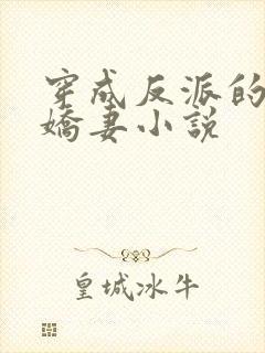 穿成反派的病弱娇妻小说