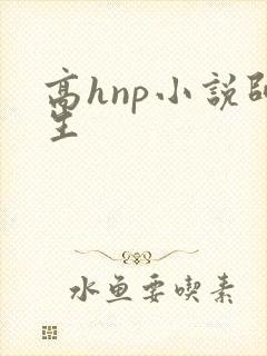 高hnp小说师生