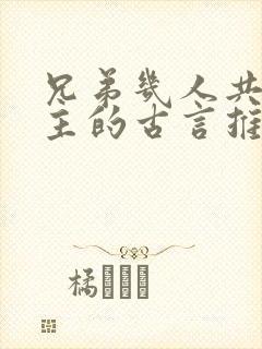 兄弟几人共娶女主的古言推荐完结