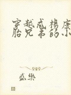 穿越成杨康双胞胎兄弟的小说