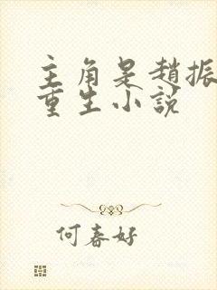 主角是赵振国的重生小说