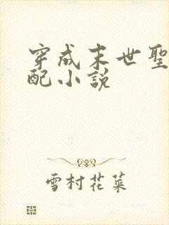 穿成末世圣母女配小说