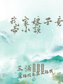 我家娘子竟是女帝小说