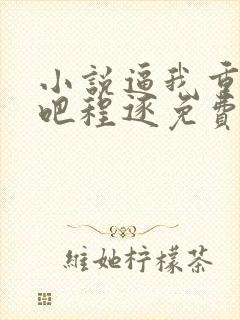 小说逼我重生是吧程逐免费阅读免费