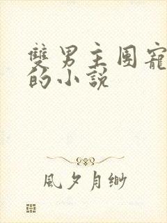 双男主团宠崽崽的小说