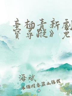 辛柏青新剧《护宝寻踪》免费观看