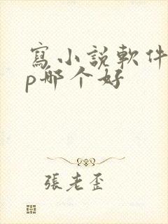 写小说软件app哪个好