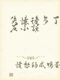 失忆后多了前男友小说