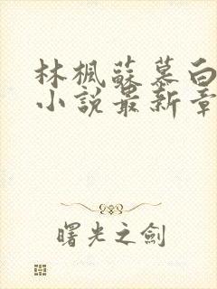 林枫苏慕白穿越小说最新章节更新内容