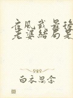 夜风武最后几个老婆结局是什么