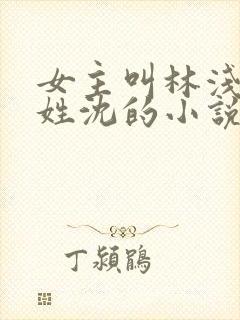 女主叫林浅男主姓沈的小说