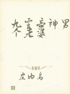 九霄帝神男主几个老婆