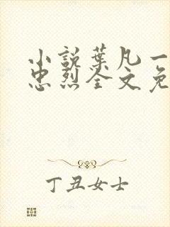 小说叶凡一门十忠烈全文免费