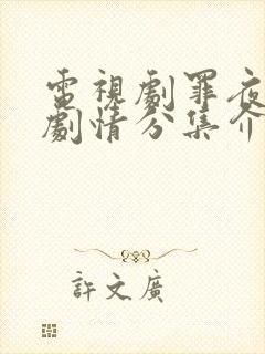 电视剧罪夜无间剧情分集介绍