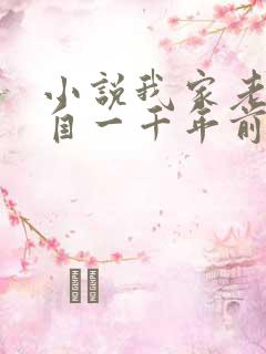 小说我家老婆来自一千年前全集免费