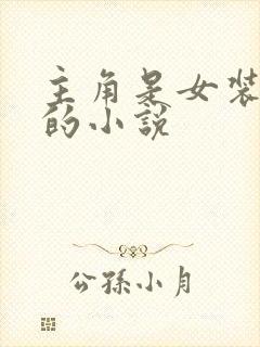 主角是女装大佬的小说