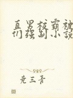 直男校霸被疯批们强制小说