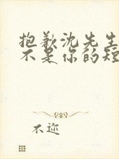 抱歉沈先生孩子不是你的短剧在线免费观看