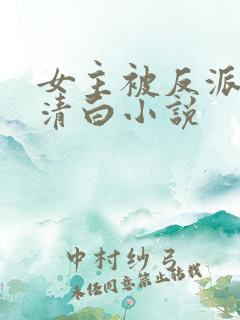 女主被反派毁了清白小说