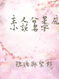 主人公是庞北的小说名字