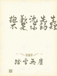 抱歉沈先生孩子不是你的短剧在线观看