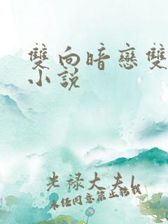 双向暗恋双男主小说