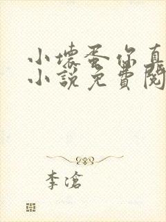 小坏蛋你真坏啊小说免费阅读