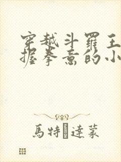 穿越斗罗王圣掌握拳意的小说