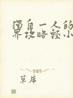 独自一人的异世界攻略轻小说