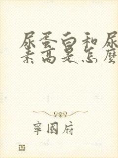 尿蛋白和尿胆红素高是怎么回事