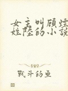 女主叫顾烟男主姓陆的小说