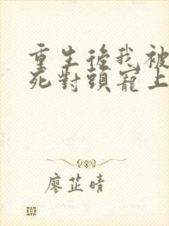 重生后我被渣男死对头宠上天.